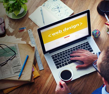 Business Websites