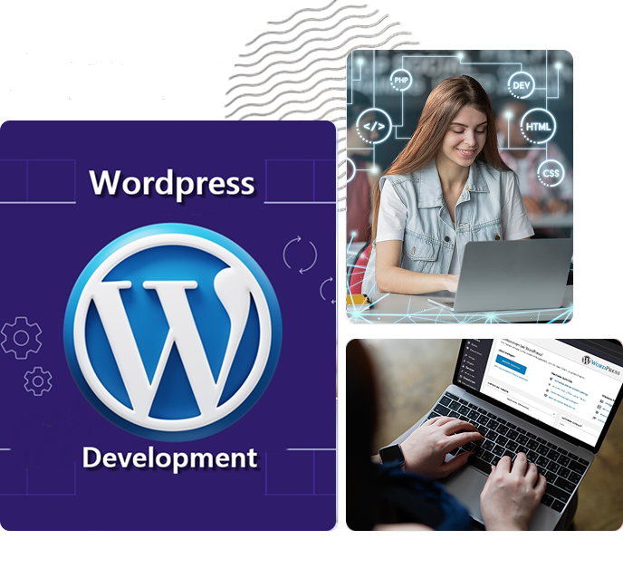 Key WordPress Development Features